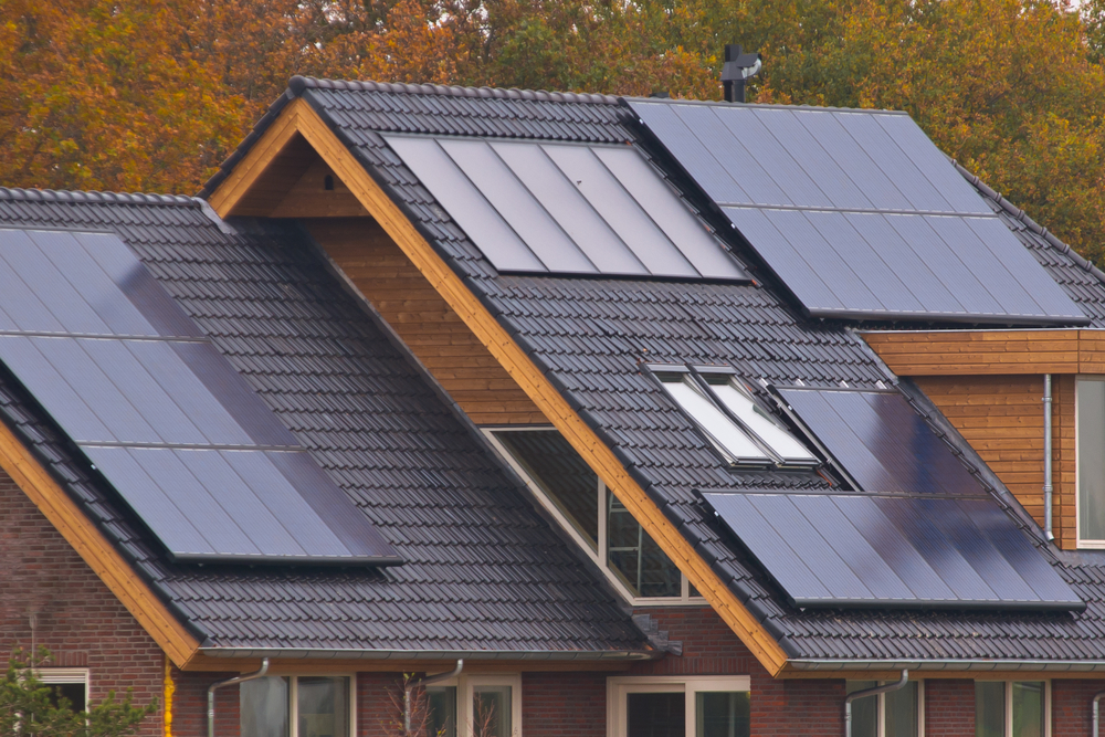 Green Building Trends to Get Excited About This Year